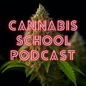 Cannabis School by Flow Media