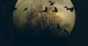 RadioDixie - Bemanova Noční můra by RadioDixie