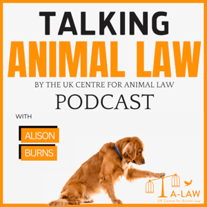 Talking Animal Law by Alison Burns