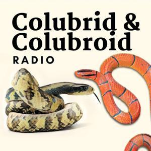 Colubrid & Colubroid Radio by MPR Network
