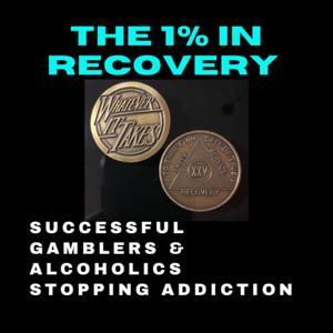 The 1% in Recovery Successful Gamblers & Alcoholics Stopping Addiction by Hugo V