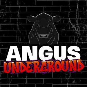 Angus Underground by David Brown