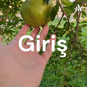 Atomik Alışkanlıklar by Salihkaralar