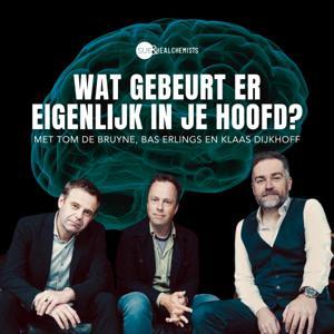 Wat gebeurt er eigenlijk in je hoofd? by SUE & The Alchemists