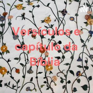 Versículos e capítulo da Bíblia by Wilson Pedro