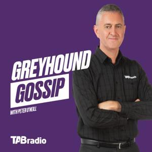 Greyhound Gossip by TABradio