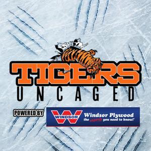 Tigers Uncaged by Pattison Media