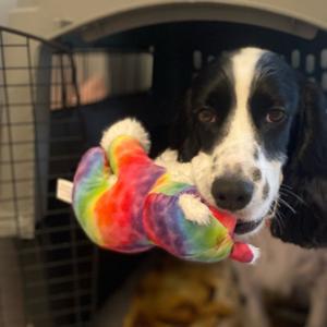 Hattie’s music by Cathy