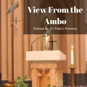 View From the Ambo by Fr. Todd Petersen