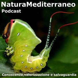 Natura Mediterraneo Podcast by Natura Mediterraneo