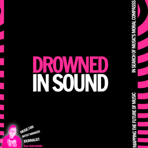 Drowned in Sound by Drowned in Sound
