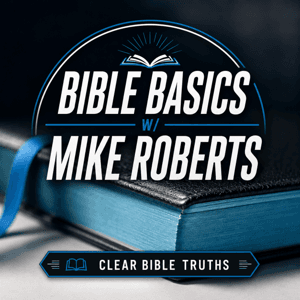 Bible Basics by Bibleway Media