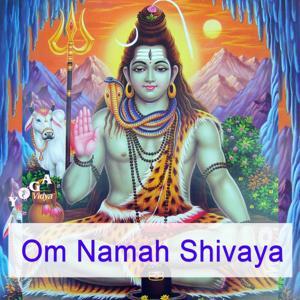 Om Namah Shivaya - Mantra Chanting and Kirtan by Sukadev Bretz - Joy and Inspiration through Mantra Chanting