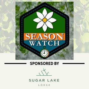 Season Watch by KAXE
