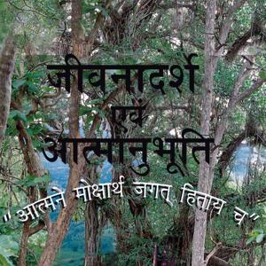 Paramhans Maharaj Jivani by Yatharth Geeta