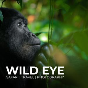 The Wild Eye Podcast by Wild Eye