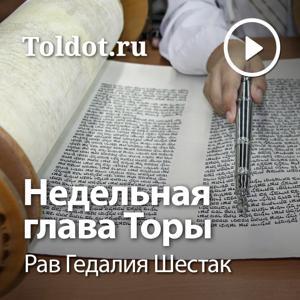 Рав Гедалия Шестак  — Недельная глава Торы by toldot.com