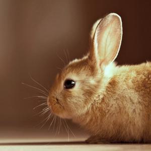 小依依原创好作文磨耳朵 by 小依依讲故事