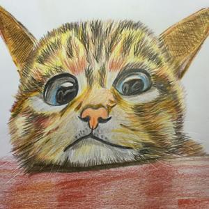 Ashley读绘本(最全) by Ashley