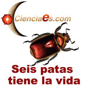 Seis patas tiene la vida - Cienciaes.com by cienciaes.com