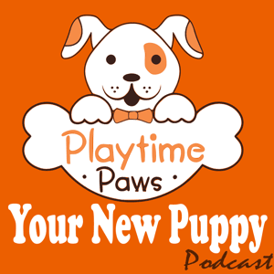Your New Puppy: Dog Training and Dog Behavior Lessons to Help You Turn Your New Puppy into a Well-Behaved Dog by Debbie Cilento: Dog Trainer | Dog Behavior Consultant | Owner of Playtime Paws | Belly Rub Specialist