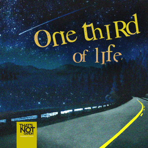One Third of Life by That's Not Canon Productions