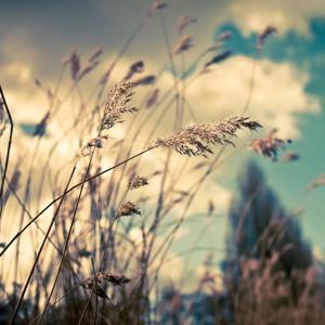 眨眼时间记住英语四级单词 by magicEnglish