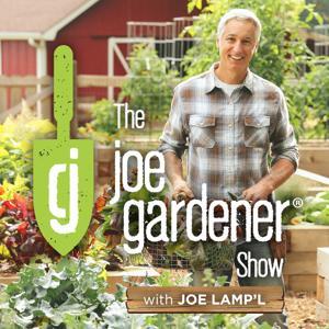 The joe gardener Show - Organic Gardening - Vegetable Gardening - Expert Garden Advice From Joe Lamp'l by Podcast – joe gardener® | Organic Gardening Like a Pro