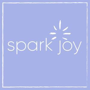 Spark Joy by Kristyn Ivey and Karin Socci