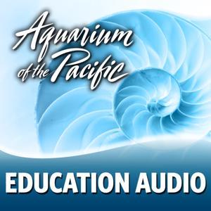 Education Audio by Aquarium of the Pacific