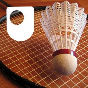 Badminton: Fitness and Training - for iPod/iPhone by The Open University