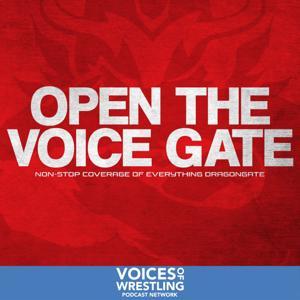 Open the Voice Gate by Open the Voice Gate