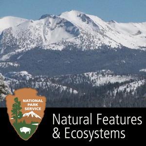 Natural Features & Ecosystems by