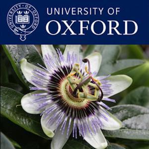 Biology - Organisms Lectures by Oxford University