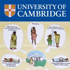 New Approaches to Maternal Mortality In Africa by Cambridge University