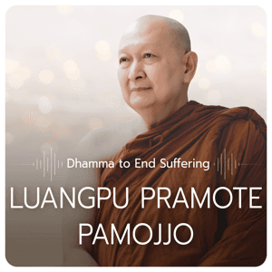 Mindfulness Dhamma to End Suffering by dhamma.com