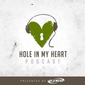Hole in My Heart Podcast by Laurie Krieg