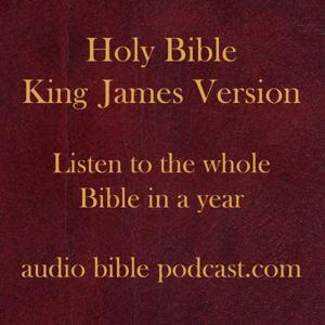 ABP - King James Version - Straight Through - January Start by audiobiblepodcast.com