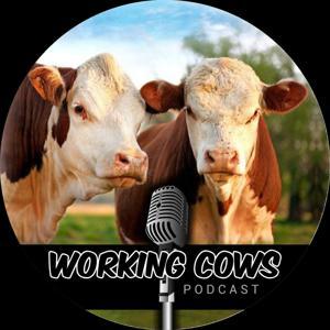 Working Cows - Regenerative Ranching to Maximize Profitability and Soil Health by Clay Conry