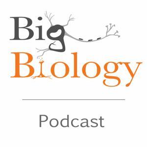 Big Biology by Art Woods, Cameron Ghalambor, and Marty Martin