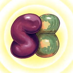 Small Beans by Small Beans