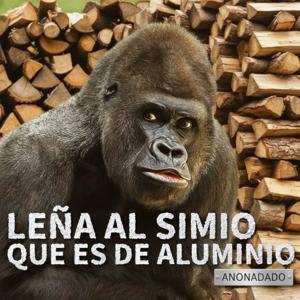 Leña al mono que es de goma by rfog