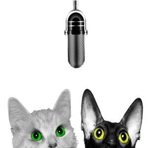 Kattsnackspodden by Aylen & Sam - podcaster hosts kattsnackspodden