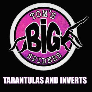 Tom's Big Spiders - Tarantulas and Inverts by Tom Moran