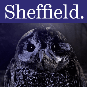 Sounds of the Birds by The University of Sheffield