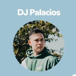 Mi Gente (DJ Palacios Remix) by DJ Palacios