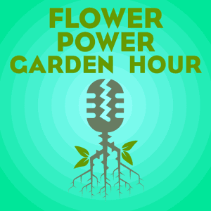 Flower Power Garden Hour by Marlene Simon