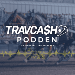 Travcash by https://travcash.se