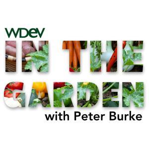 In the Garden by In the Garden