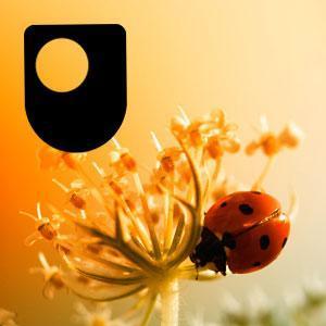 Charles Darwin - the man and the scientist - for iPad/Mac/PC by The Open University